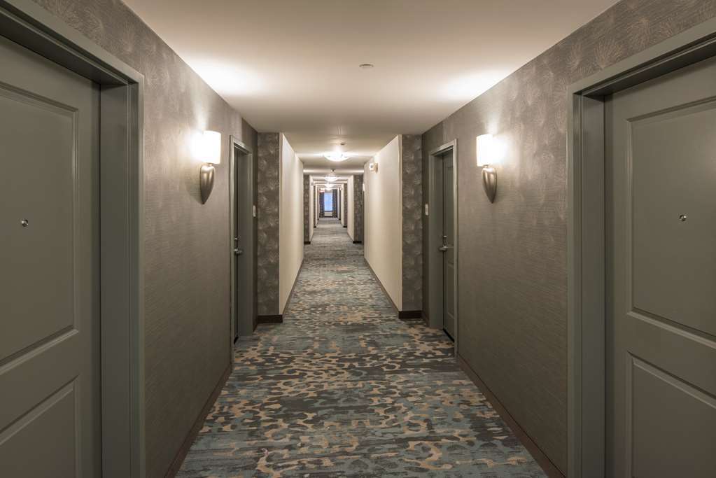 Hilton Garden Inn Mount Holly/Westampton Wnętrze zdjęcie